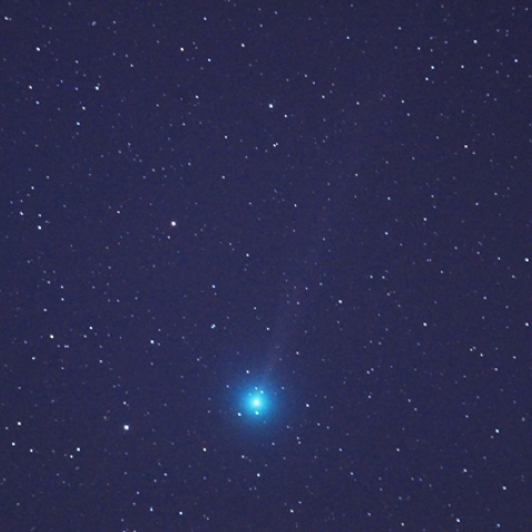 ラヴジョイ彗星