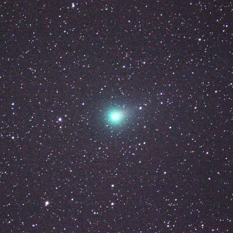 コマが美しいラブジョイ彗星