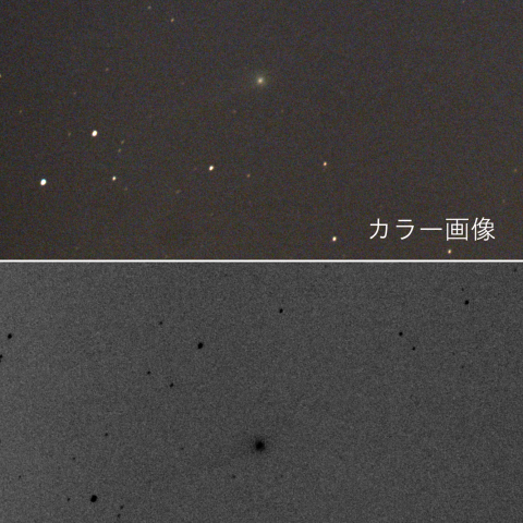 アンチテイルが写ったパンスターズ彗星