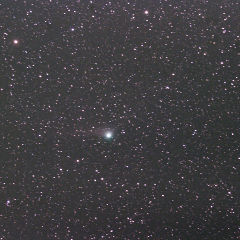 パンスターズ彗星