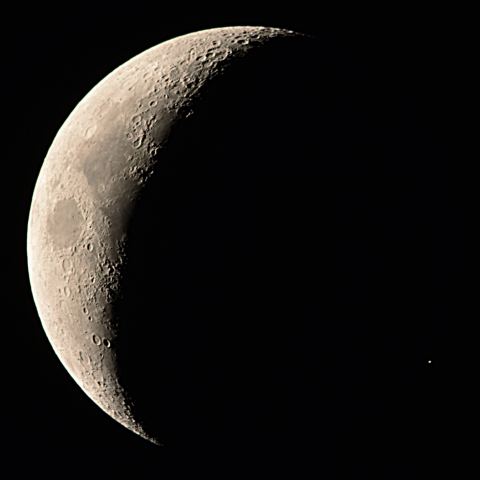 アルデバラン食潜入