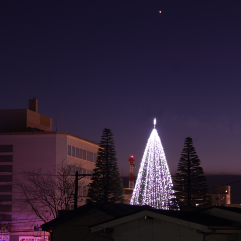 クリスマスの日