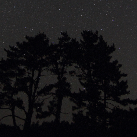 ペルセウス座流星群