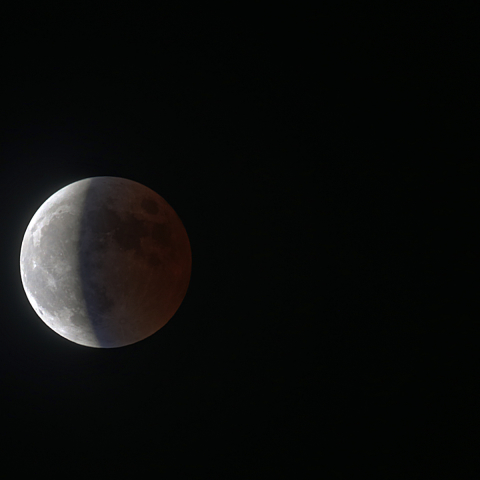 本影の中のブルーベルト