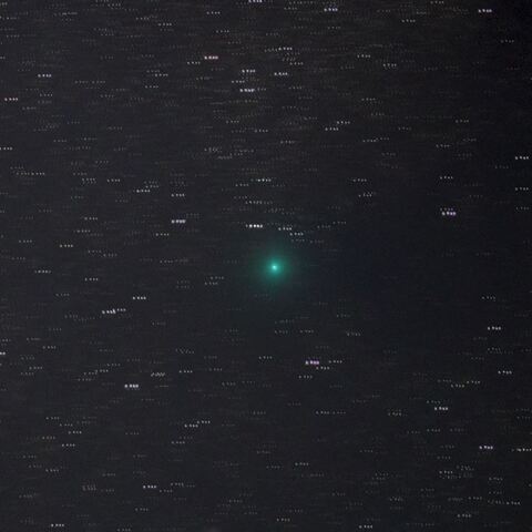 11月12日のレモン彗星