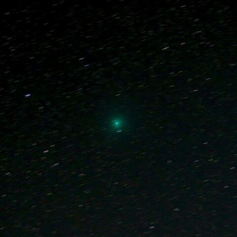 11月14日のレモン彗星