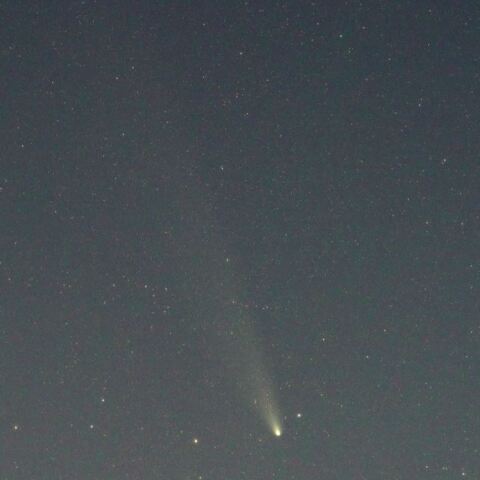 11月3日のC/2023 A3　紫金山・アトラス彗星