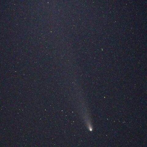 11月4日のC/2023 A3　紫金山・アトラス彗星