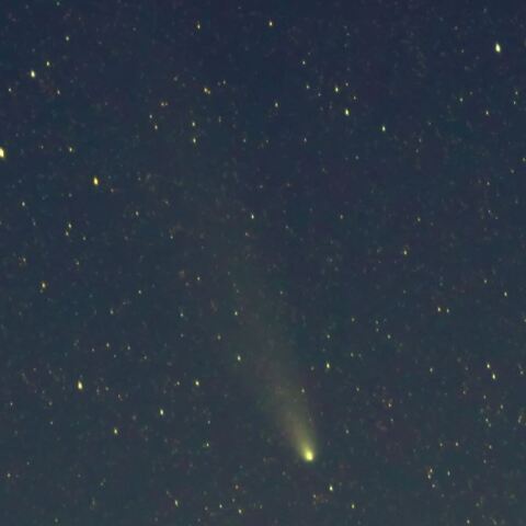 11月7日のC/2023 A3　紫金山・アトラス彗星