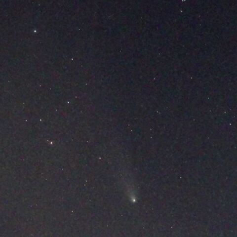 11月8日のC/2023 A3　紫金山・アトラス彗星