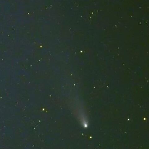 11月11日のC/2023 A3　紫金山・アトラス彗星