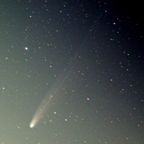 11月1日のC/2025 A6　レモン彗星