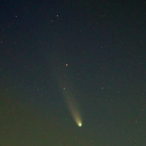 11月11日のC/2025 A6 レモン彗星