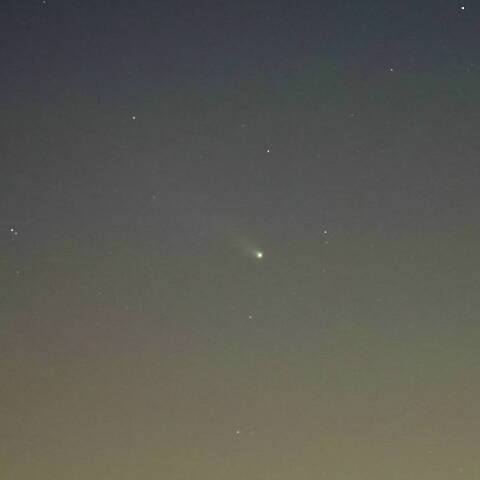 レナード彗星（12月31日）