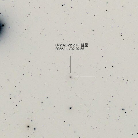 C/2020V2ZTF彗星