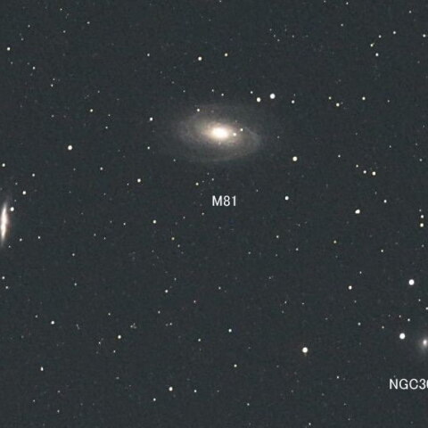 M81 M82 NGC3077