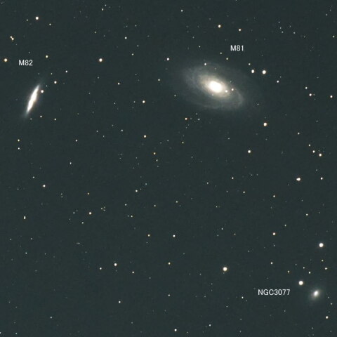 M81 M82 NGC3077