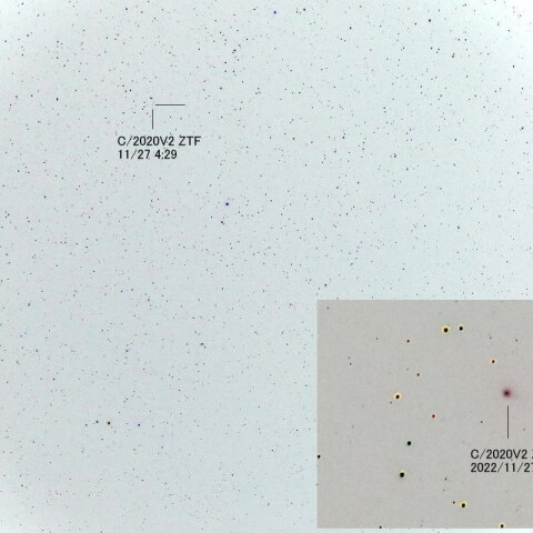 C-2020V2　ZTF彗星