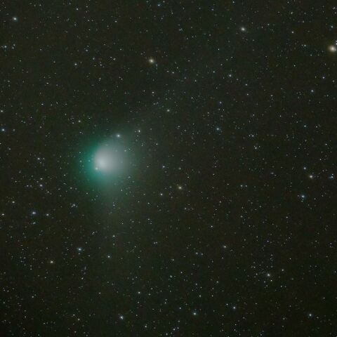 1月30日のC/2022E3 ZTF彗星