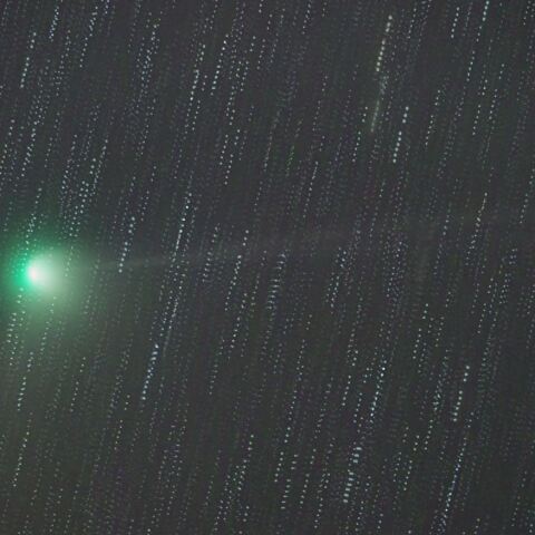 1月31日のC/2022E3 ZTF彗星