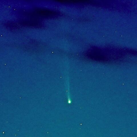 9月8日(金)の西村彗星　C/2023 P1