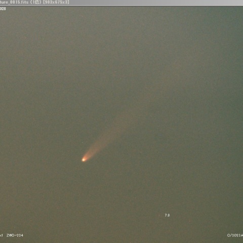 紫金山・アトラス彗星（C/2023 A3）