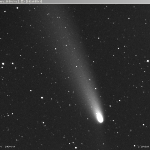 紫金山・アトラス彗星（C/2023 A3）