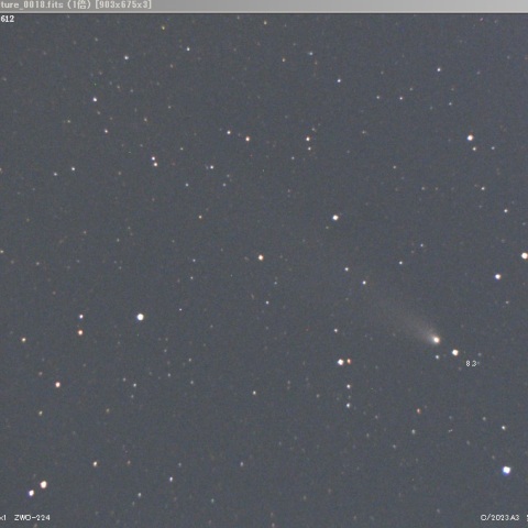 紫金山・アトラス彗星（C/2023 A3）
