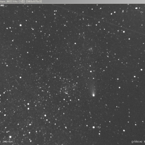 紫金山・アトラス彗星（C/2023 A3）