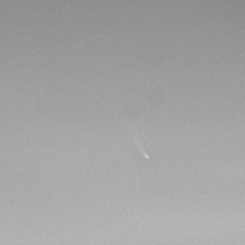 アトラス彗星 (C/2024 G3)