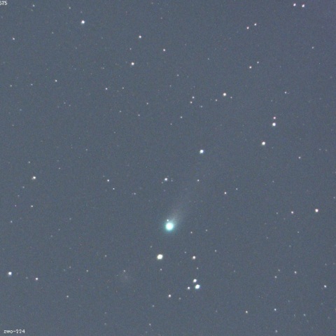 レモン彗星（C/2025 A6）