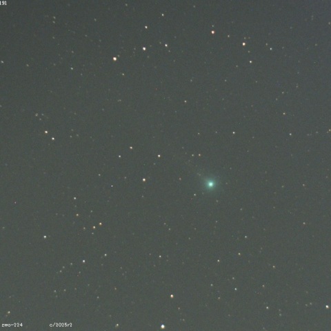 スワン彗星（C/2025 R2）