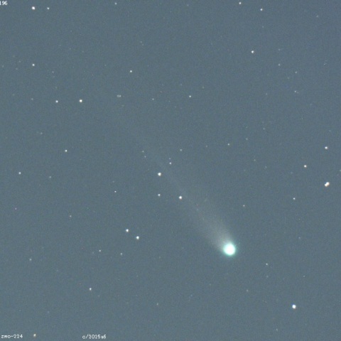 レモン彗星（C/2025 A6）