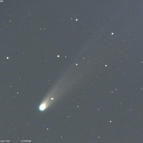 レモン彗星（C/2025 A6）