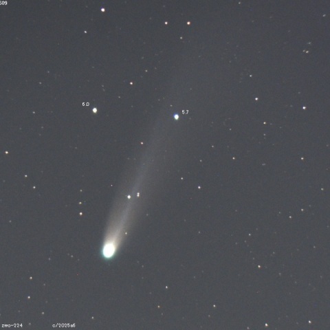 レモン彗星(C/2025 A6)