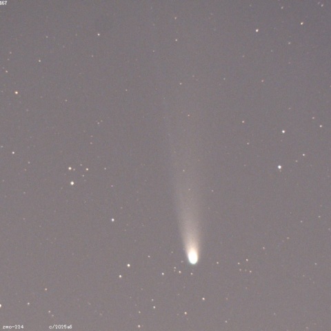 レモン彗星（C/2025 A6）