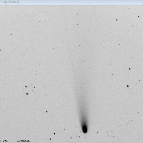 レモン彗星（C/2025 A6）