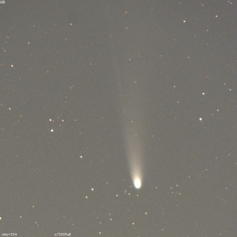 レモン彗星（C/2025 A6）