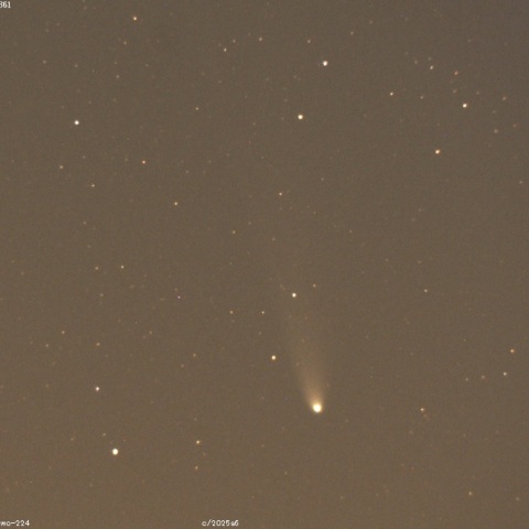 レモン彗星（C/2025 A6）