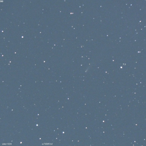 アトラス彗星（C/2025 K1）