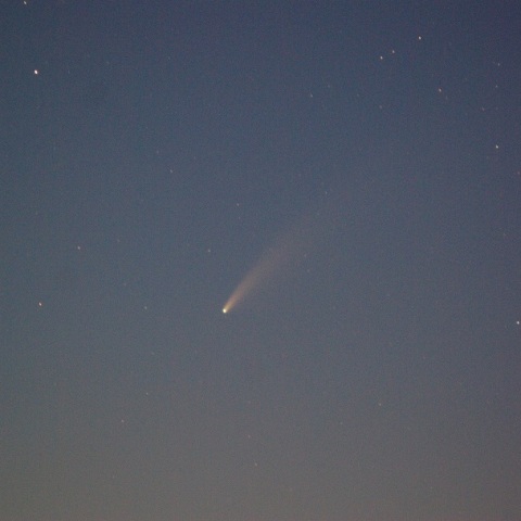 ネオワイズ彗星（C/2020 F3）