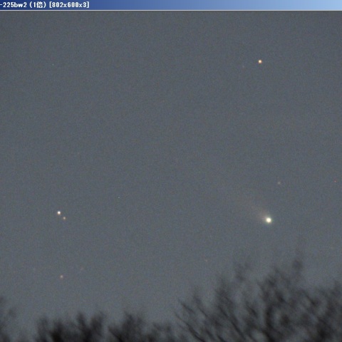   レナード彗星 (C/2021A1)