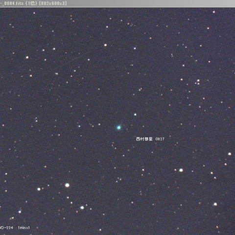 西村彗星（C/2023 P1)