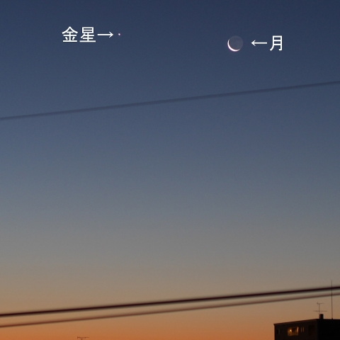 月と金星が並んだ！！
