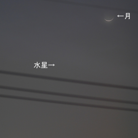東方最大離角１日後の水星と細い月