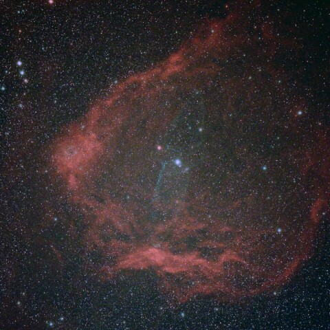 コウモリ星雲とダイオウイカ