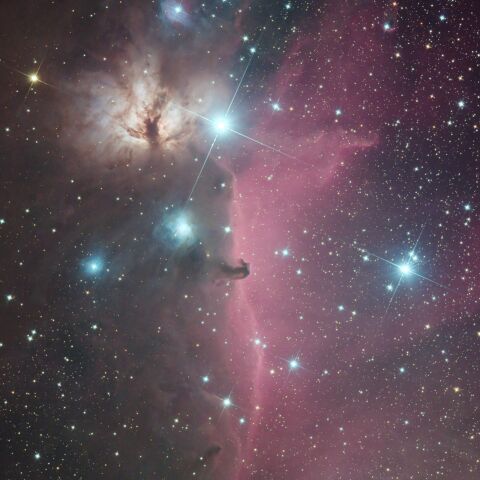 燃える木と馬頭星雲