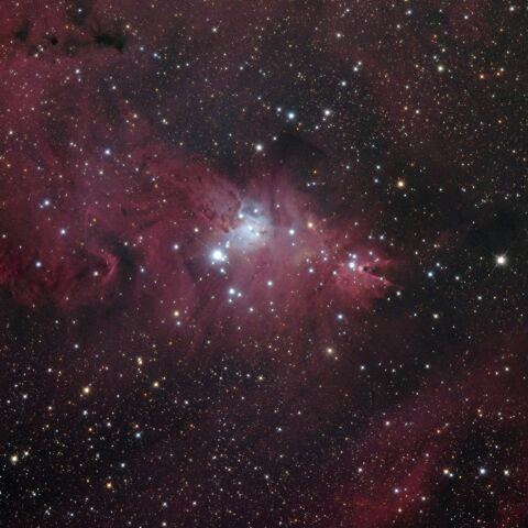 クリスマスツリー星団付近