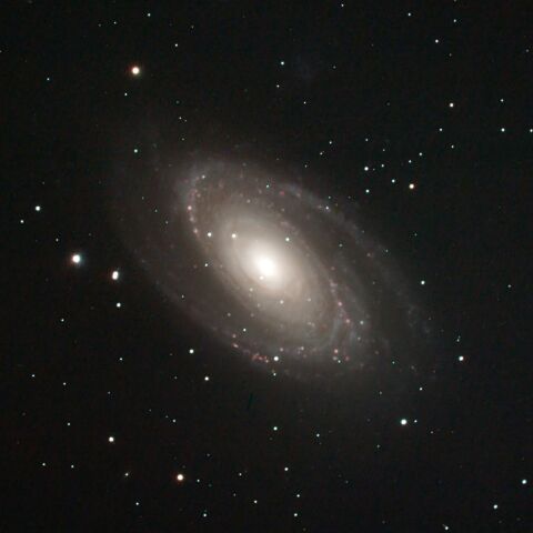 M81