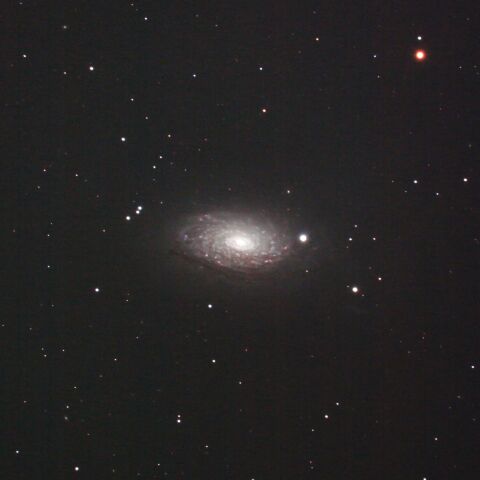 M63